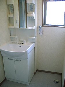 アネシス 独立洗面台、洗濯機置き場
