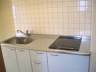 アネシス キッチンにはIH+電気コンロ備付